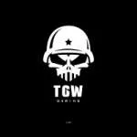 TGW Gaming and Amusement Inc. company logo