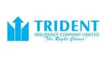 TRIDENT GENERAL INSURANCE AGENCY CORP company logo