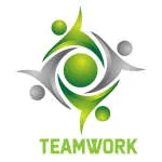 Teemwork company logo