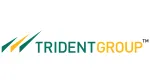 Trident company logo