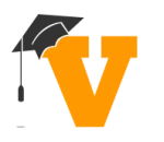 VIPTutors Co company logo