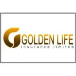 ONE GOLDEN STONE LIFE INSURANCE AGENCY company logo