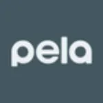 Pela Case Corporation company logo