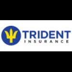 Trident General Insurance Agency Corporation company logo