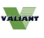 Valiant Advanced Systems and Devices Corporation company logo