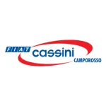 CASSINI FIVE TRADING CO company logo