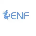 ENF Ltd. company logo