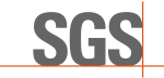 SGS Hub - Sapient Global company logo