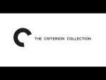 CRITERION INC company logo