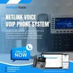 Netlink Voice(VOIP COMPANY) company logo