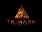 TRIMARK FASHIONS INTERNATIONAL INC company logo