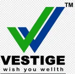 VIZSERVE PRIVATE LIMITED company logo