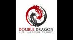 Double Dragon Life Insurance Agency company logo