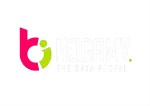 Nogamy company logo