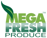 MEGAFRESH INTERNATIONAL INC. company logo