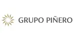 Grupo Piñero company icon
