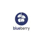Blueberry company icon
