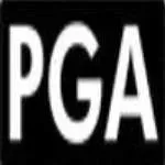 Philippe Gadgets & Accessories, Inc. company icon