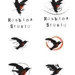 RobbieStylographic and Development Corporation company icon