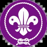 Scout Reyes Branch company icon