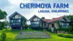 Tagaytay Foothills @ Cherimoya Farm Staycation company icon