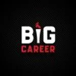 Big Career Group