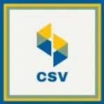 CyberSoft Vantage - CSV