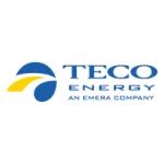 TECO Group