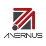 AVERNUS MANAGEMENT CONSULTING LLC