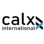 CALX International Auditing & Tax Agency