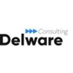 Delware Consulting Services