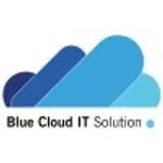 Blue Cloud IT Solution