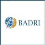 BADRI Management Consultancy