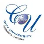 City University of Science and Information Technology