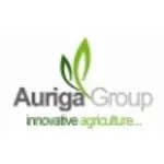 Auriga Group