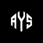 Ays Group of Companies