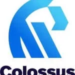 Colossus Construction Company