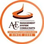 Ace Management System Consultants