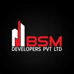 BSM DEVELOPERS PRIVATE LIMITED