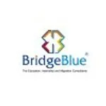 BridgeBlue Pakistan & Nextage