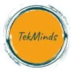 TekMinds International