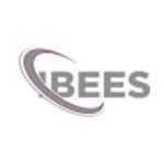 IBEES Consulting