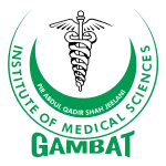 GIMS institute of medical science Gambat district khairpur mir's