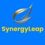 SynergyLeap Consulting