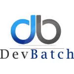 DevBatch Pvt Ltd company logo