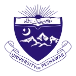 University Model Town Peshawar company logo