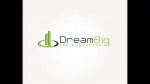 DreamBig Semiconductor Inc. company logo