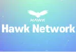 Hawks Networks company logo