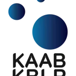 KAAB International company logo