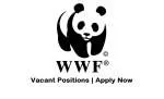 WWF-Pakistan company logo